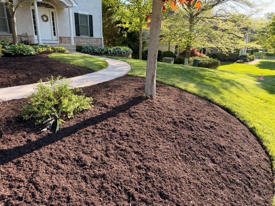 Landscape enhancement with dark mulch and green curb appeal